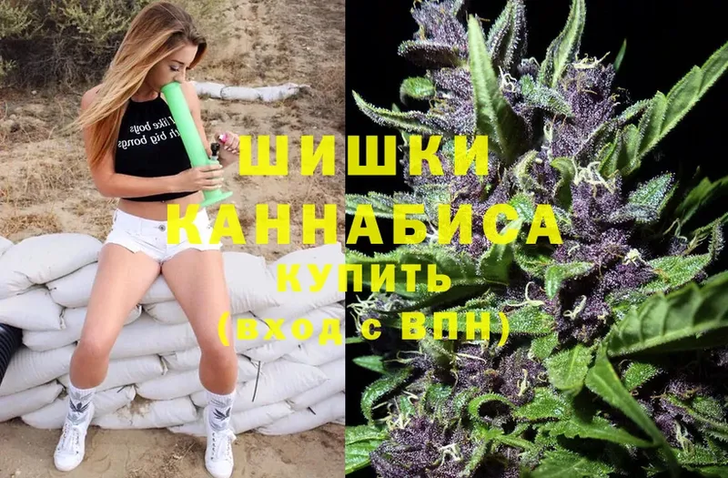 купить закладку  Орск  ссылка на мегу сайт  Бошки марихуана семена 